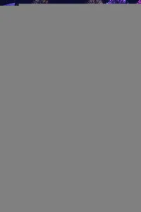 Побег из лабиринта времени 